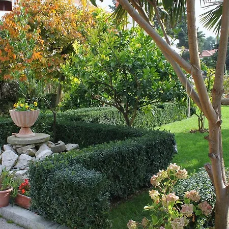 - Diklo 5880d Appartamento