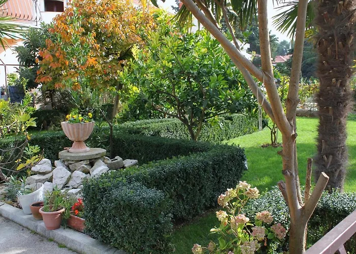 - Diklo 5880d Appartamento