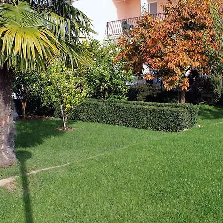 Apartmán - Diklo 5880d Zadar